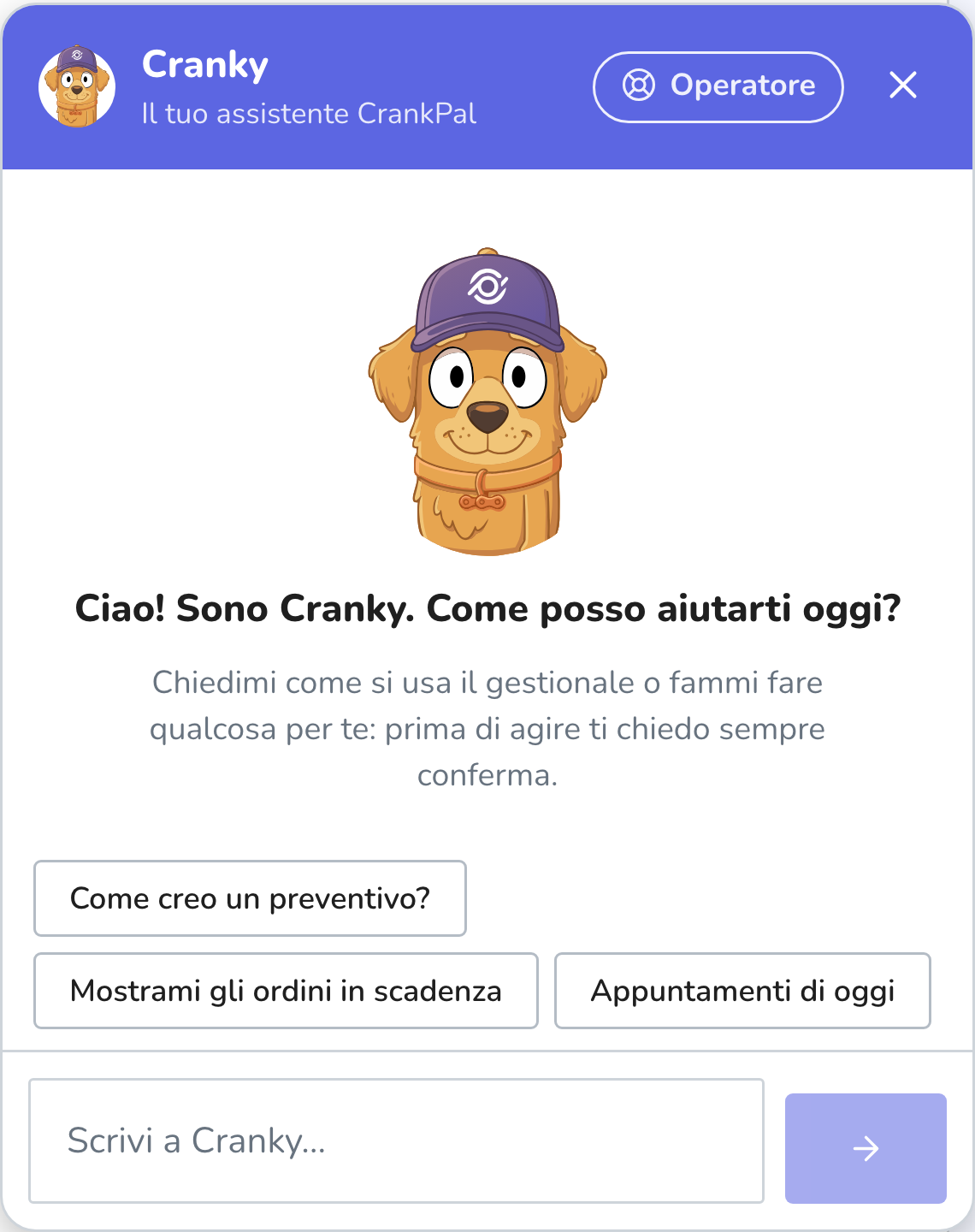 Il pannello di Cranky aperto sopra il gestionale, con il campo per scrivere la domanda
